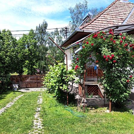 Casa de vacanta Zsenik Vendeghaz Sovata Esterno foto