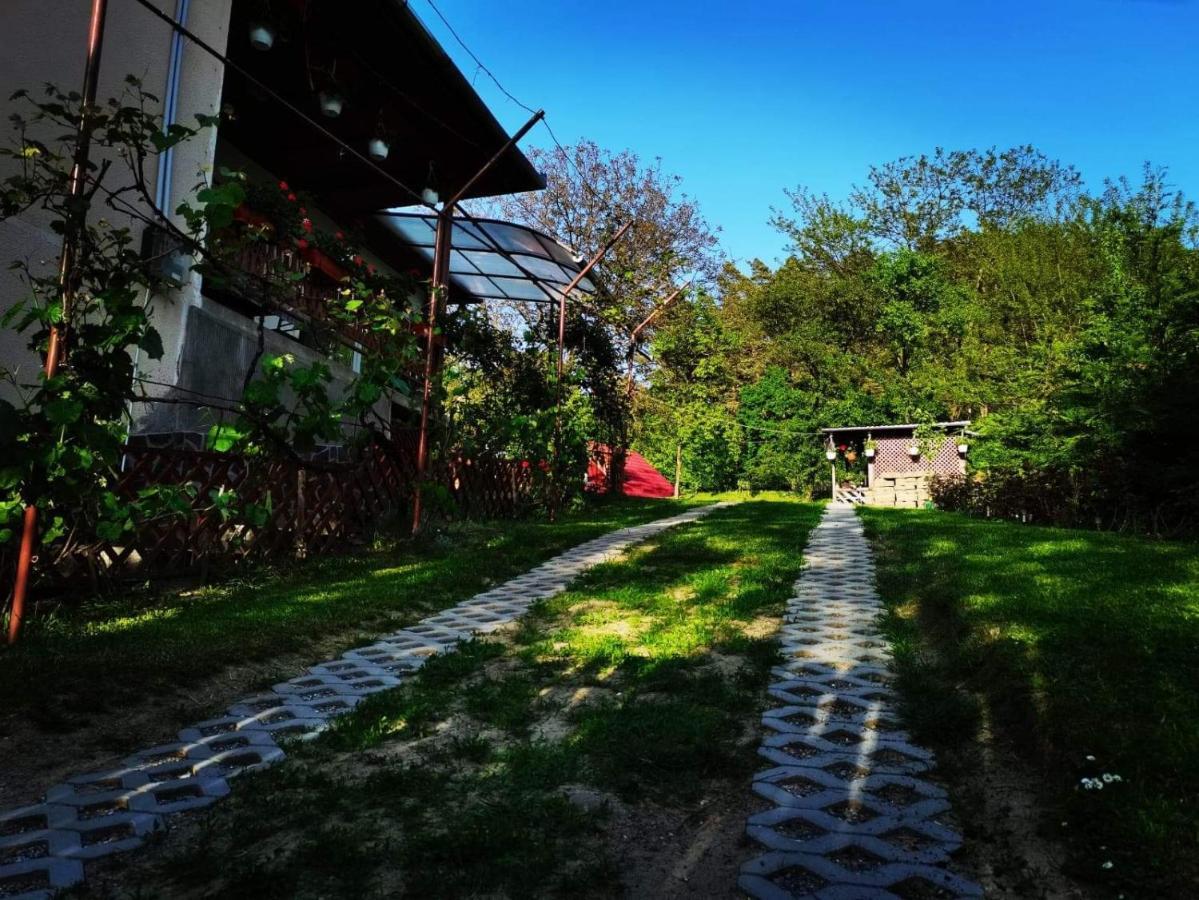 Casa de vacanta Zsenik Vendeghaz Sovata Esterno foto