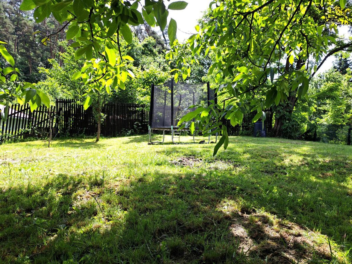 Casa de vacanta Zsenik Vendeghaz Sovata Esterno foto