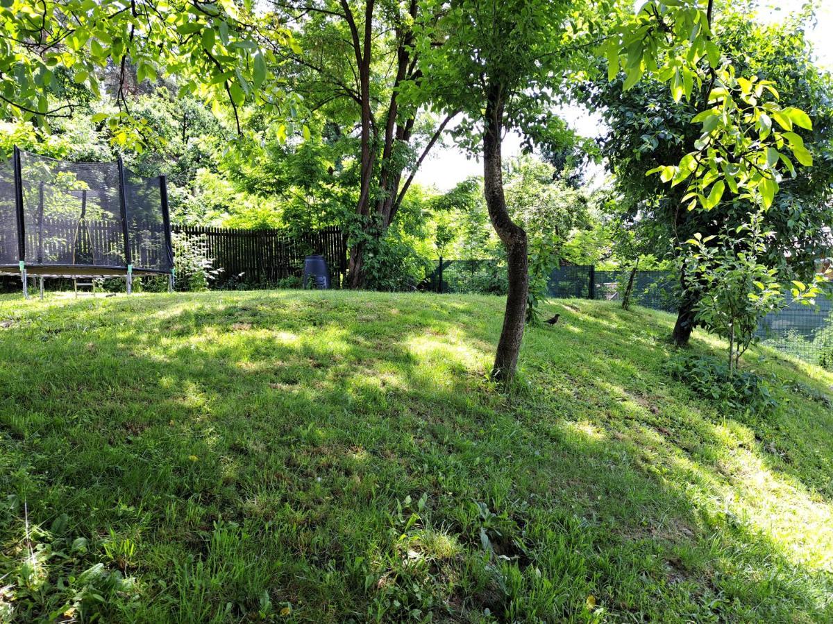 Casa de vacanta Zsenik Vendeghaz Sovata Esterno foto