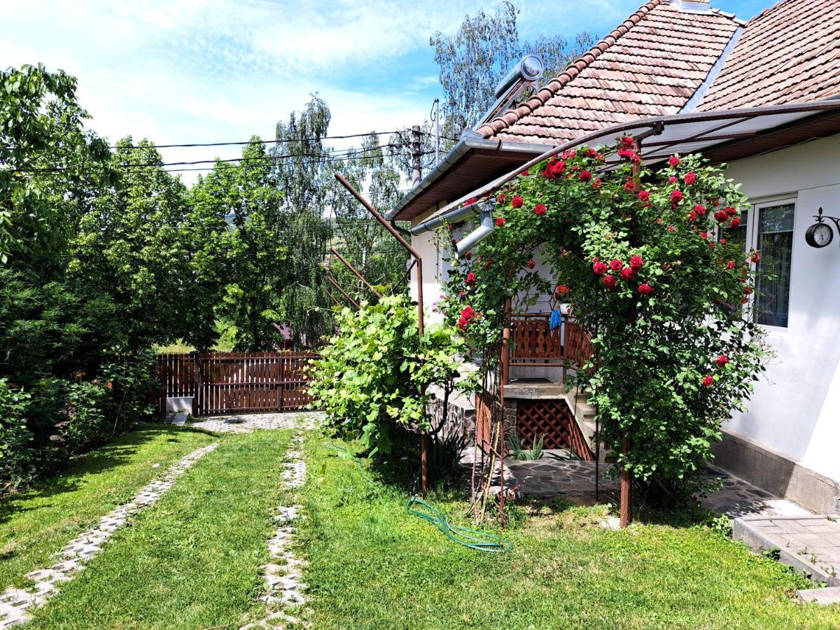 Casa de vacanta Zsenik Vendeghaz Sovata Esterno foto